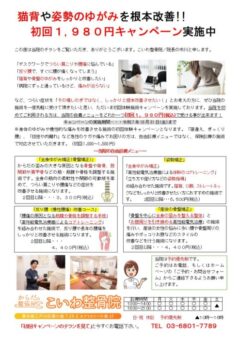 秋の初回1,980円キャンペーンが大好評です！